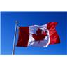 Canadian Scholarship Canadian Flag